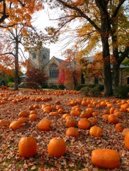 tumblr_msgdoiY0Iv1qik67lo1_540