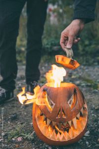 Purchase this image at http://www.stocksy.com/421009